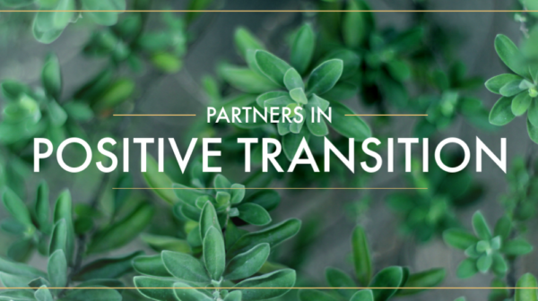 Partners in Positive Transition, Part 3 Image